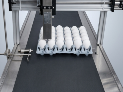 Automatic Online Egg Tray Inkjet Coding Machine
